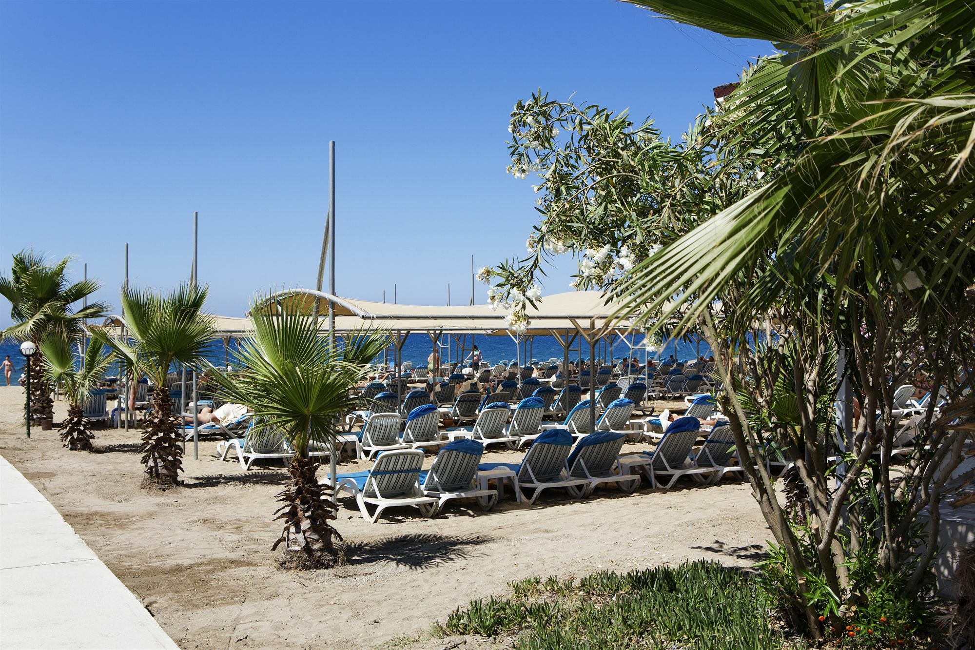 Larissa Holiday Beach Club Hotel Konakli Exterior photo